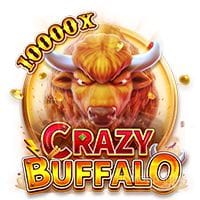 CRAZY BUFFALO
